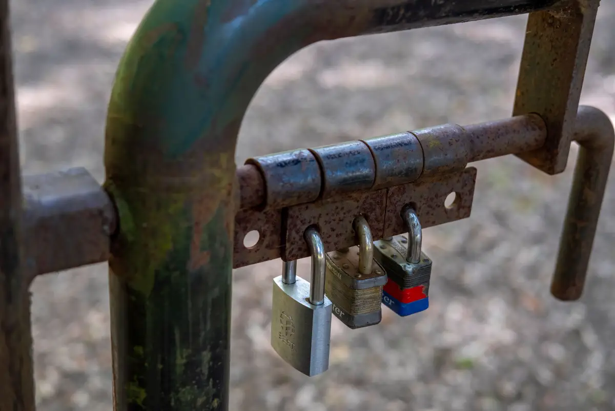 A rusted gate latch and slide bolt secured with three padlocks