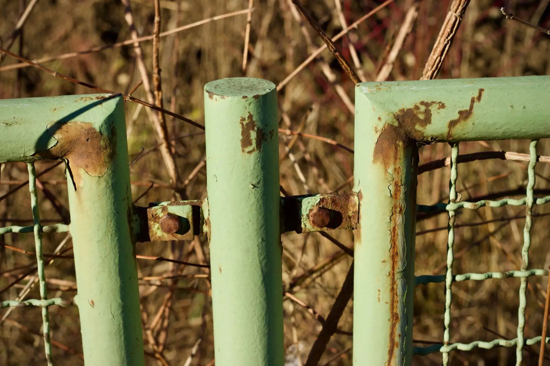 A rusted metal gate with corrosion spreading from the frame