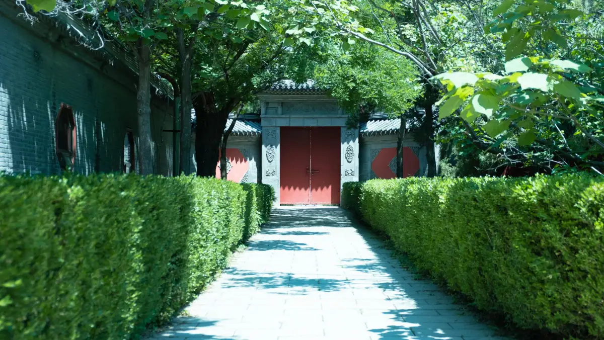 A walk gate at the end of a hedged garden path